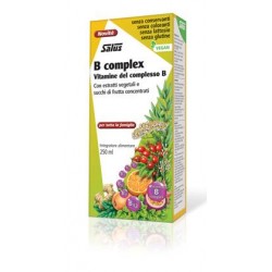 B COMPLEX SALUS 250 ML