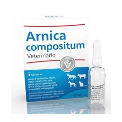 ARNICA COMPOSITUM...