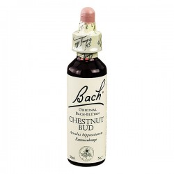Loacker Bach Chestnut Bud...