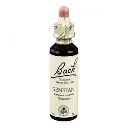 Loacker Gentian Fiori Di...