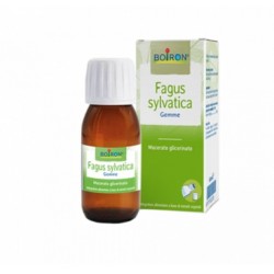 Boiron Fagus Sylvatica...