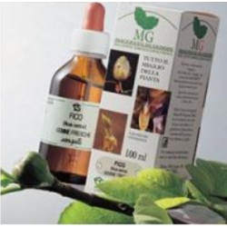 Laboratorio Sangalli...