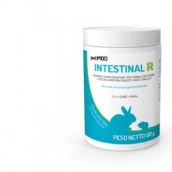 Petmod Intestinal R...