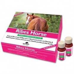 Ribes Horse Integratore...