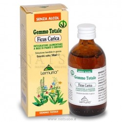 Ficus Carica Gemme...