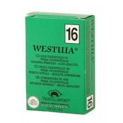 Vegetal Progress Westuia...