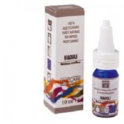 Zuccari Niaoulj Olio...