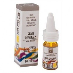 Zuccari Salvia Officinalis...