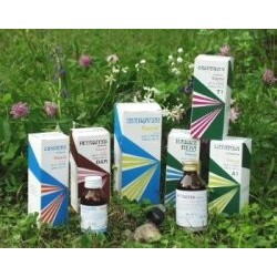 Radice Nero Analcolico...