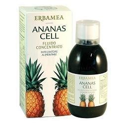 Erbamea Ananas Concentrato...