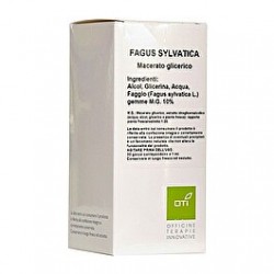 OTI Fagus Sylvatica...