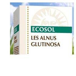 LES ALNUS GLUTINOSA GOCCE...
