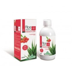 Specchiasol Succo Aloevera...