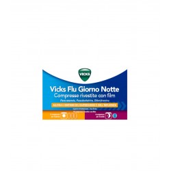 Vicks Flu Giorno Notte...
