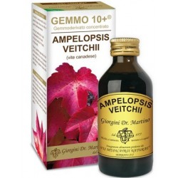 Dr. Giorgini Vite Canadese...