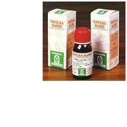 Specchiasol Erisimo 61...