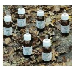 Zeiter Olio Massaggio 50ml