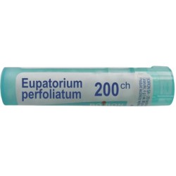 Boiron Eupatorium...