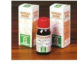 Specchiasol Pungitopo 24...