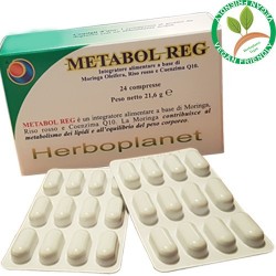 Metabol Reg Integratore per...