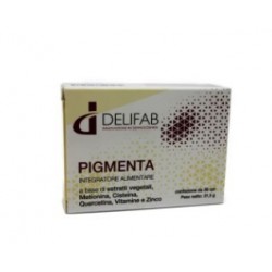 Delifab Pigmenta...