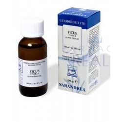 Sarandrea Fico Foglie Gocce...