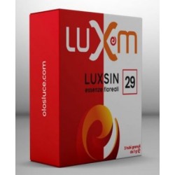 Luxsin 29 Rimedio...