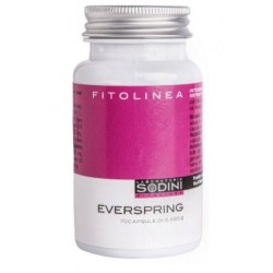 Sodini Everspring...