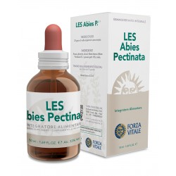 Les Abies Pectinata...