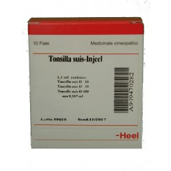 Tonsilla Suis Injeel Heel...