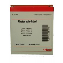 Ureter Suis Injeel Heel...