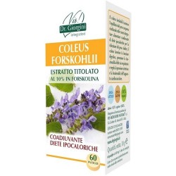 Coleus Forskohlii...