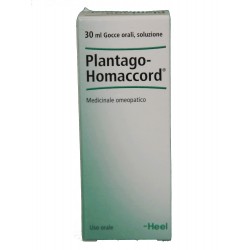 Plantago Homaccord Heel...