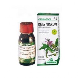 Specchiasol Ribes Nero per...