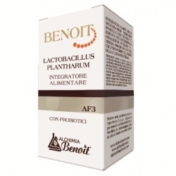 Benoit Lactobacillus...