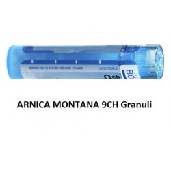 Boiron Arnica Montana 9CH...