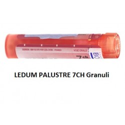 Boiron Ledum Palustre 7CH...