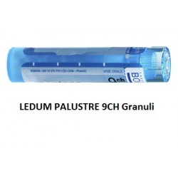 Boiron Ledum Palustre 9CH...
