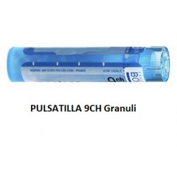 Boiron Pulsatilla 9CH...
