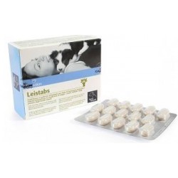 Camon Leistabs Protection...