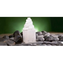 Alcea Lampade in Selenite