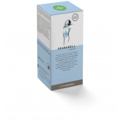 Vivi Moringa Pranawell...