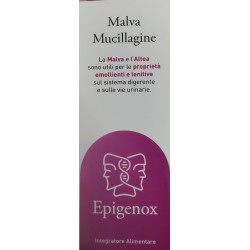 Epigenox Mucillagine di...
