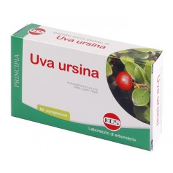 Kos Uva Ursina Integratore...