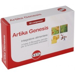Kos Artika Genesis...