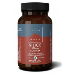 Terranova Silice Complex...