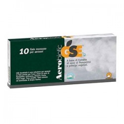 GSE Aerobiotic Soluzione...