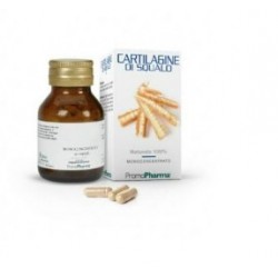 Cartilagine Squalo...