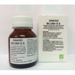 Oti Gingko Biloba...