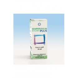 Sempervivum Sigma Plus...